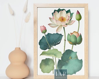 Lotus Botanical Wall Art | Digital Print Download | Floral Print Illustration | Botanical Illustration | Modern Home Decor | Boho Wall Art