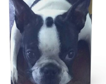 Boston Terrier Coffee mug