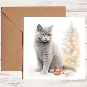 British Shorthair Christmas Card | Greeting card for cat lover | Personalised | Single card blank on the inside