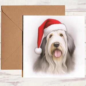 Bearded Collie Christmas Card