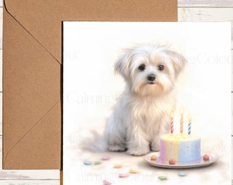 Whitman And Daughter Malteser Geburtstagskarte – Hunde-Karte Blanko, 12,7x17,8 Cm, Für Alle Anlässe