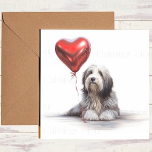 Bearded Collie Greeting Card | With love | Anniversary | Birthday | Single card blank on the inside