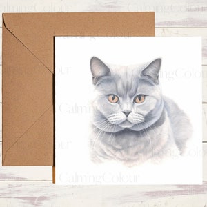 British Shorthair Cat Greeting Card