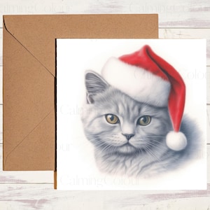 British Shorthair Cat Christmas Card