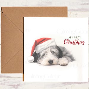 Bearded Collie Christmas Card: Santa Hat Dog, Personalized Greeting
