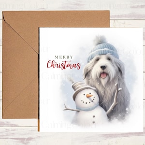 Bearded Collie Christmas Card