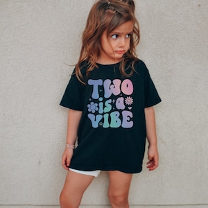 2 is a Vibe Shirt, 2nd Birthday T-Shirt, Toddler Girls Birthday Gift, Girls Birthday Party Tee, 2 Year Old Birthday Gift