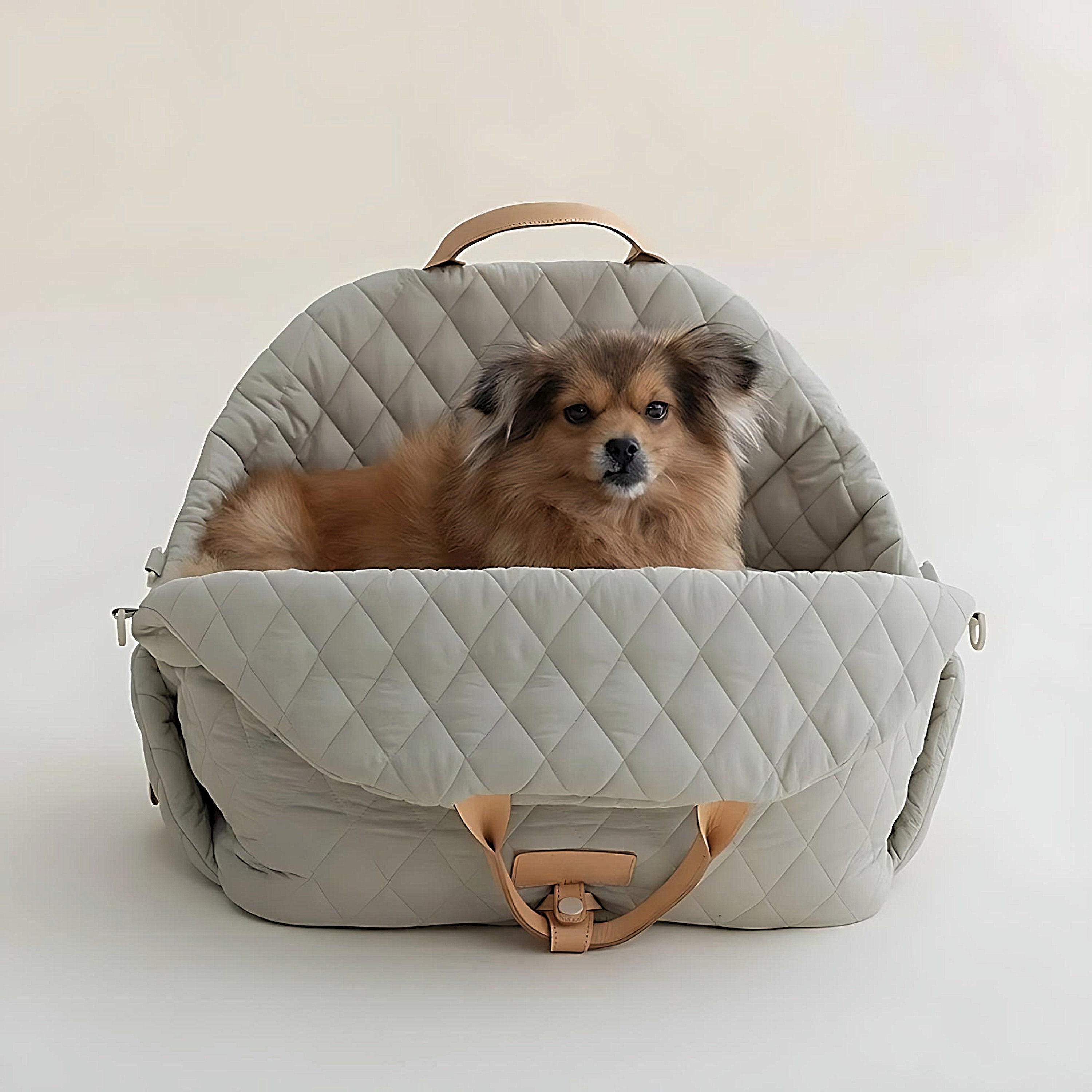Buy Airline Dog Bag Online In India  Etsy India