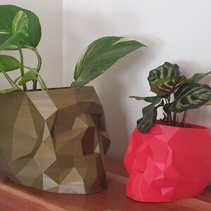 May include: Two geometric skull-shaped planters, one is a dark green color and the other is a bright red color. Both planters are filled with green plants.