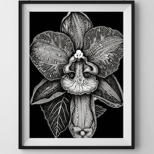 Black & White Orchid Print | Vintage Botanical Wall Art | Modern Minimalist Decor | Ideal Gift | Instant Download | Digital Poster |13042023