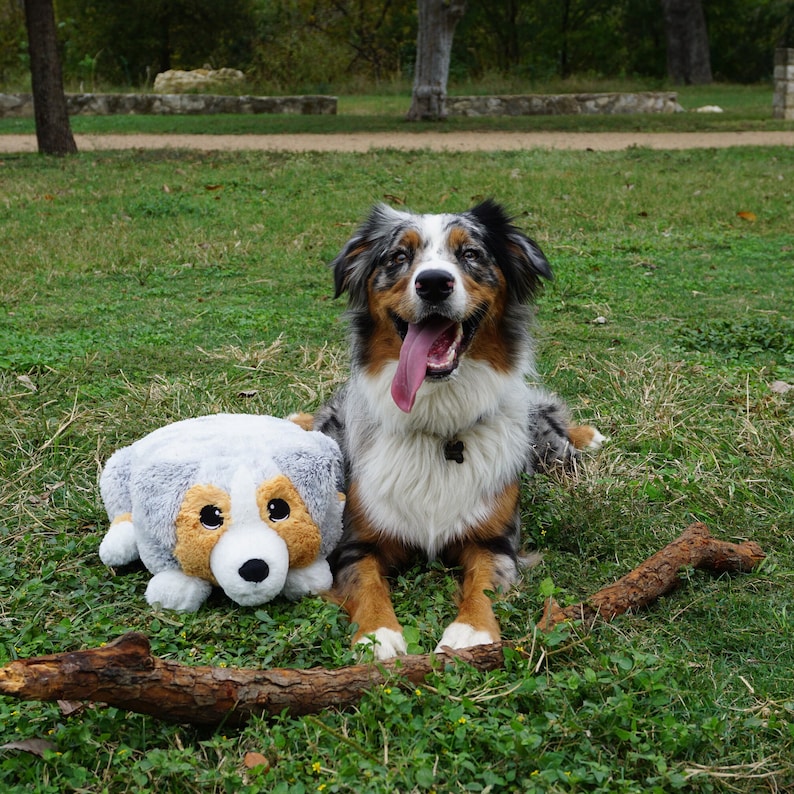 Australian Shepherd Plush Toy Memory Foam Pillow Stuffed Animal Soft