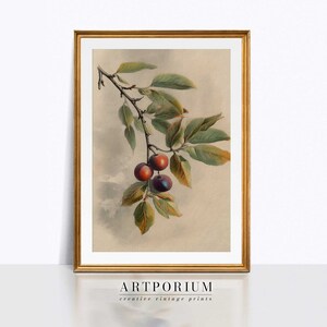 impression botanique vintage | Aquarelle antique de ferme de campagne de baies | Art numérique IMPRIMABLE | Impressions Artporium | BTV0008