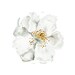Floral Flower Art Minimalist Melting Flower Poster Print Made to Order ...