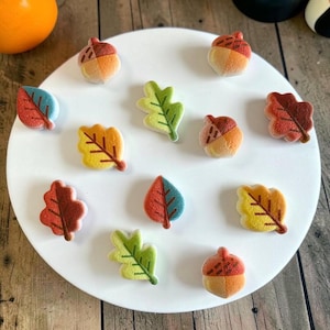 May include: A collection of small, textured bath bombs shaped like autumn leaves and acorns in shades of orange, yellow, red, green, and brown. The items are arranged on a smooth, circular white surface, showcasing detailed vein patterns.