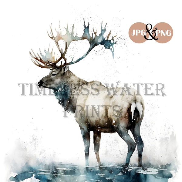 Caribou Watercolor Wildlife, Instant download, Printable download, PNG, JPG