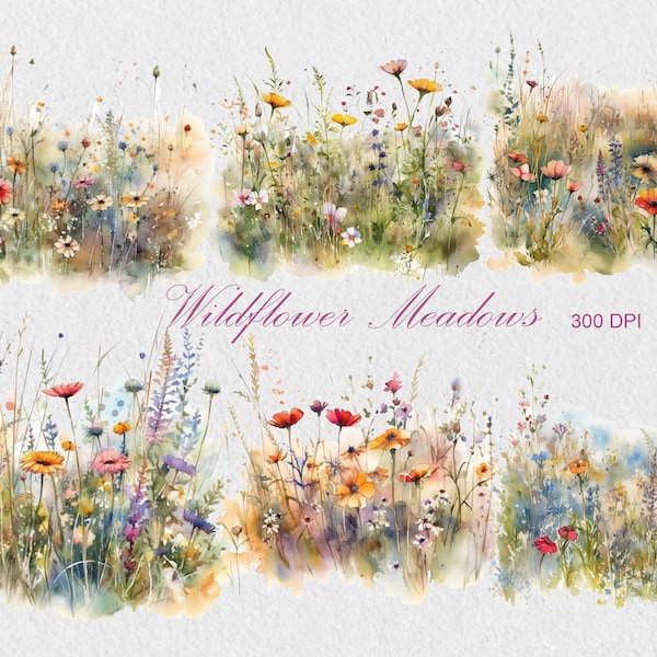 Aquarell Wildblumen Wiesen Clipart, kommerzielle Nutzung Clipart, Sommer Clipart, Scrapbooking, Wildblumen, Landschaft,