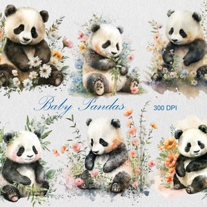 Panda Clipart PNG, Cute Baby Panda  300 DPI