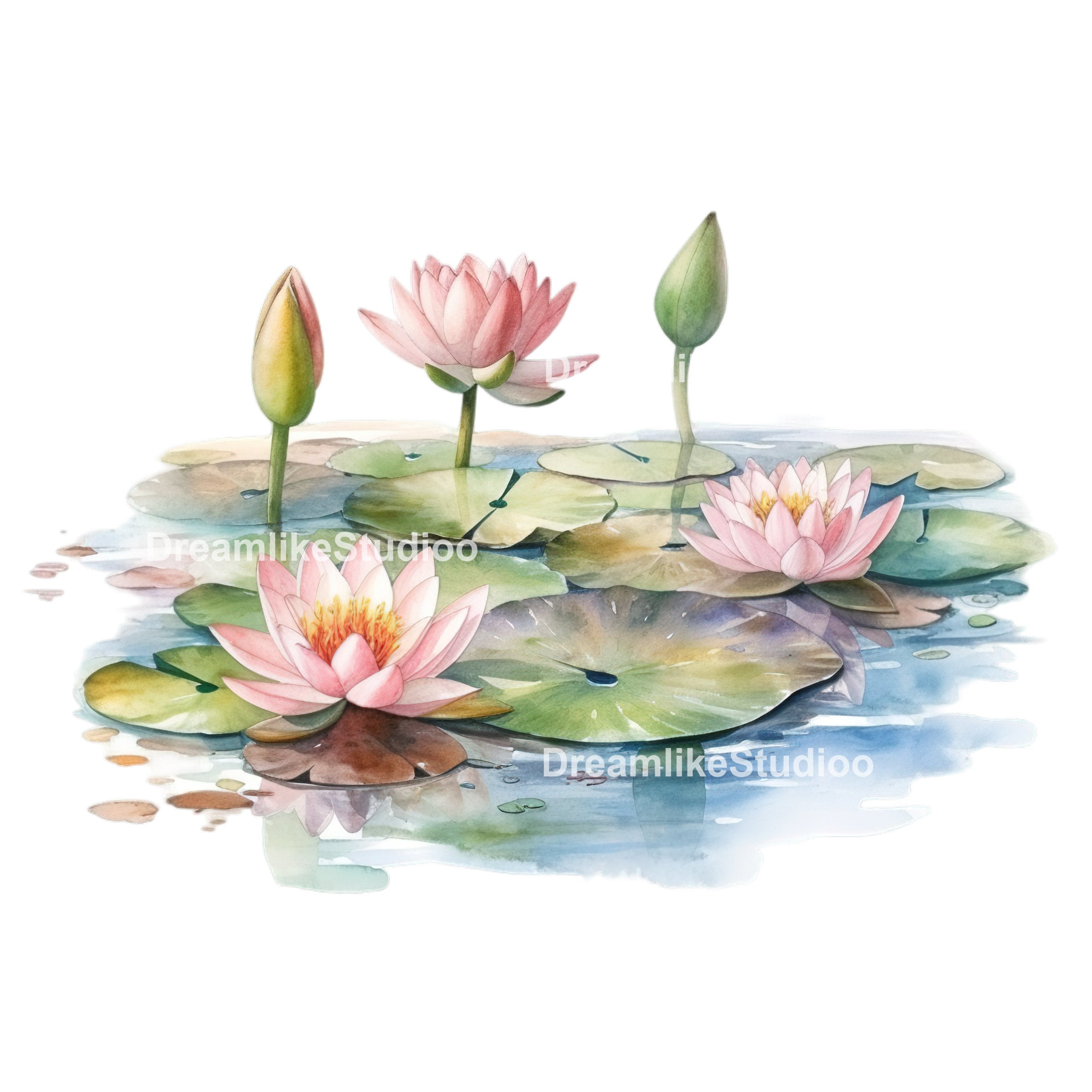 Watercolor Water Lily Clipart, Waterlilies Clipart, Commercial Use Flower Clipart Etsy