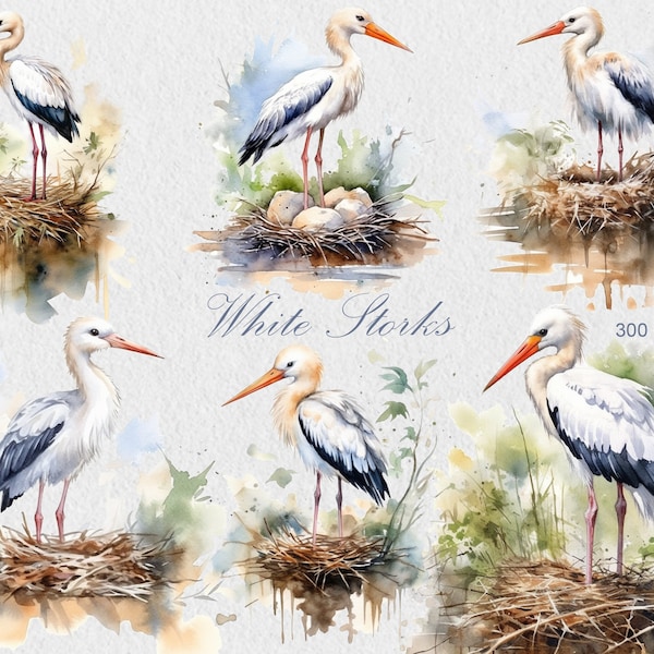 Stork Clipart Etsy