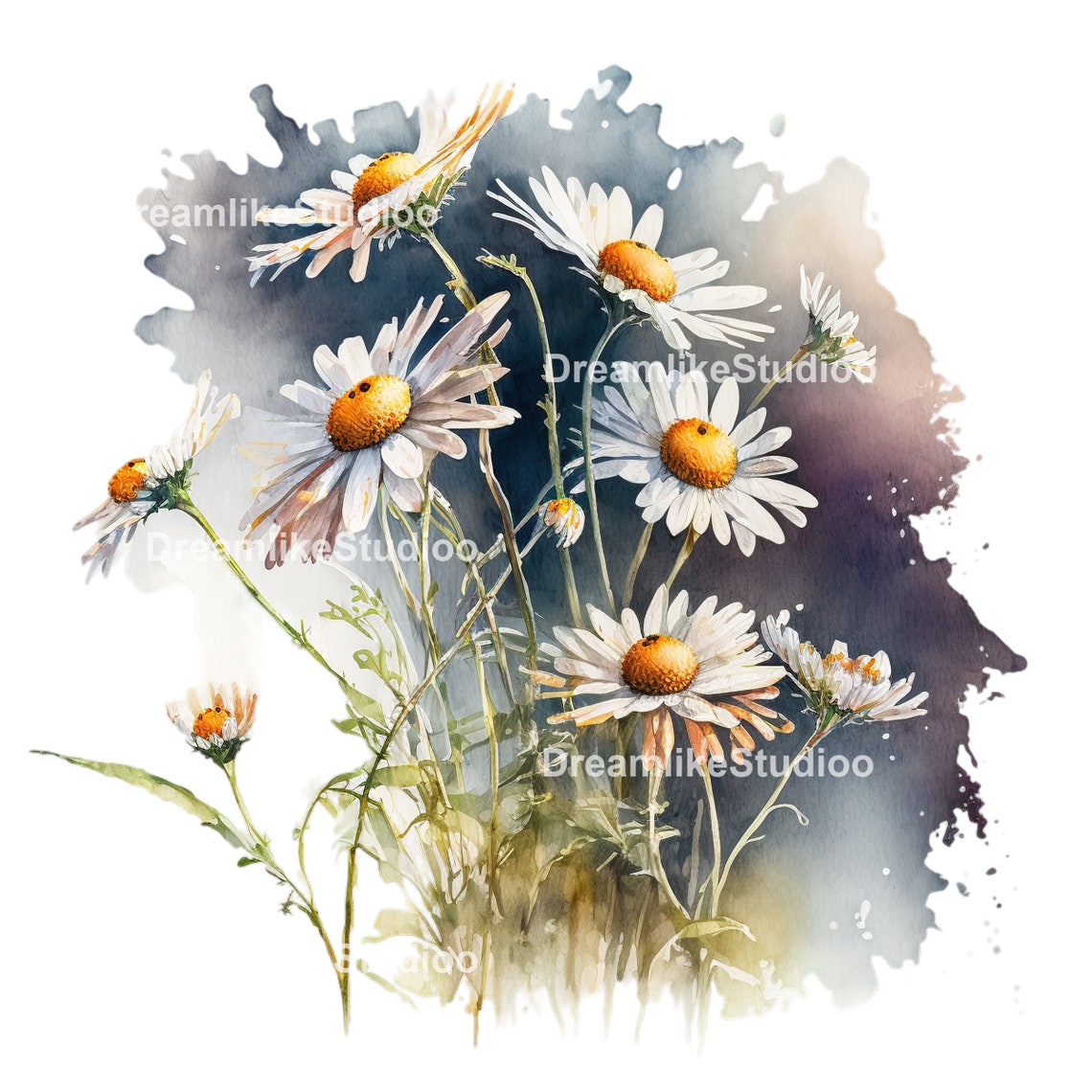 Watercolor Daisies Clipart Daisies Bouquet PNG Commercial Etsy