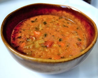 Zuppa vegana di lenticchie biologiche - Senza glutine, deliziosa e nutriente