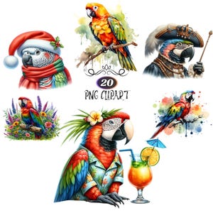Watercolor Parrot Clipart, 20 Clipart Bundle, Card Making, Parrot PNG, Animal Sublimation, Parrot Illustration, High Quality PNG