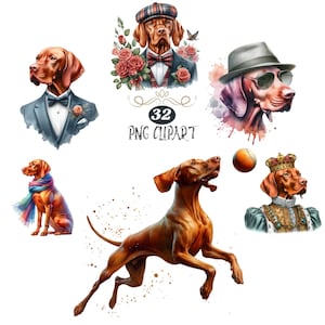 Vizsla Clipart, Watercolor Dog Clipart, Vizsla PNG, Card Making, Dog Sublimation, High Quality PNG, Junk Journaling