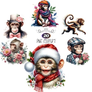 Aquarelle singe Clipart, lot de 20, fabrication de cartes, singe PNG, sublimation animale, singe I, PNG haute qualité, journalisation indésirable