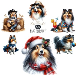 Shetland Sheepdog Clipart, Aquarell Hund Clipart, Shetland Sheepdog PNG, Kartenherstellung, Clipart-Bundle, hohe Qualität PNG, Junk Journaling
