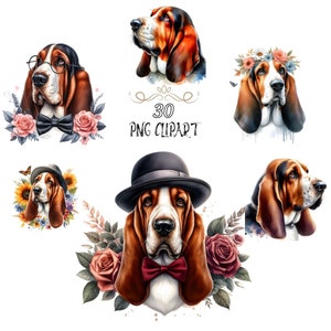 Basset Hound Clipart, hond Clipart, 30 bundelsets, aquarel Basset Hound ClipArt, Basset Hound png, kaarten maken, hoge kwaliteit png