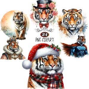 Watercolor Tiger Clipart, 25 Clipart Bundle, Card Making, Tiger PNG, Animal Sublimation, Tiger Illustration, High Quality PNG
