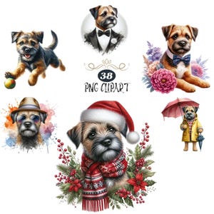 Border Terrier Clipart, Watercolor Dog Clipart, Border Terrier PNG, Card Making, Clipart Bundle, Dog sublimation, High Quality PNG