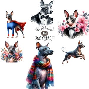 American Hairless Dog Clipart, Watercolor Dog Clipart,  American Hairless PNG, Card Making, Clipart Bundle, Dog sublimation, Junk Journaling