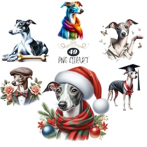 Clipart levriero italiano, Clipart cane acquerello, PNG levriero italiano, creazione di biglietti, bundle clipart, PNG di alta qualità, diario spazzatura