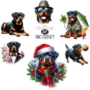 Rottweiler Clipart, Watercolor Dog Clipart, Rottweiler PNG, Card Making, Clipart Bundle, Dog sublimation, High Quality PNG, Junk Journaling