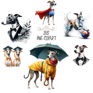 Whippet clipart, aquarel hond clipart, bundelset, Whippet png, kaarten maken, hoge kwaliteit png, junkjournaling