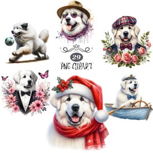 Clipart Pyrénées, aquarelle chien clipart, Grandes Pyrénées PNG, fabrication de cartes, lot de cliparts, chien, PNG haute qualité, journalisation indésirable