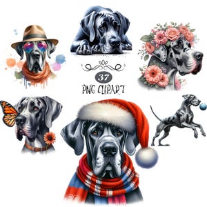 Great Dane Clipart, Watercolor Dog Clipart, Great Dane PNG, Card Making, 37 Clipart Bundle, Dog, High Quality PNG, Junk Journaling
