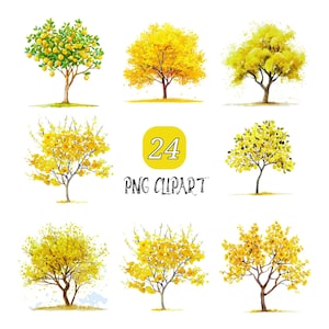 24 Żółte drzewo śliwkowe Clipart, Akwarela Drzewo PNG, Żółte Drzewo Sztuka, Wysokiej Jakości Pobieranie Cyfrowe, Ilustracja Botaniczna, Kwitnące Clipart