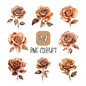 24 bronzen roos aquarel clipart, bloemen clipart, hoge kwaliteit png, aquarel clipart, digitale download, bloem roos clipart