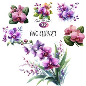 Lila Orchidee Aquarell Clipart, Orchidee Blumen Clipart, magische Orchidee Kunst, lebendiges Orchidee Design, Natur inspirierte Clipart, Orchidee Blumen PNG