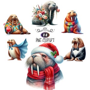 Watercolor Walrus Clipart, Clipart Bundle, Card Making, Walrus PNG, Animal Sublimation, Walrus Illustration, High Quality PNG