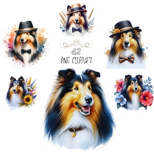 Clipart collie, hond clipart, bundelset, aquarel collie illustraties, collie png, kaarten maken, hoge kwaliteit png, junkjournaling