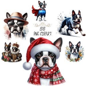 Boston Terriër clipart, aquarel hond clipart, 56 bundelset, Boston Terrier png, kaarten maken, hoge kwaliteit png, junkjournaling
