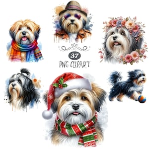 Tibetan Terrier Clipart, Watercolor Dog Clipart, Tibetan Terrier PNG, Card Making, 37 Clipart Bundle, Dog, High Quality PNG, Junk Journaling