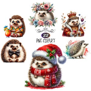Clipart hérisson, lot de 22 cliparts aquarelle hérisson, fabrication de cartes, hérisson Noël PNG, sublimation animale, illustration de hérisson