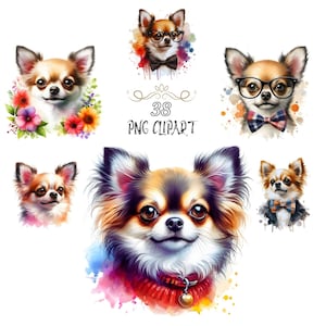 Clipart chihuahua, hond clipart, bundelset, aquarel chihuahua clipart, chihuahua png, kaarten maken, hoge kwaliteit png, junk journaling