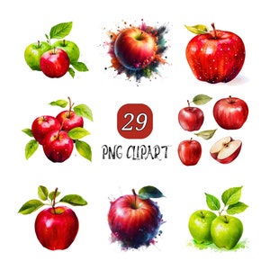 29 Apple Watercolor Clipart, High Quality PNG, Fruit Clipart, Apple Png, Digital Download, Apple Illustration, Commercial Use