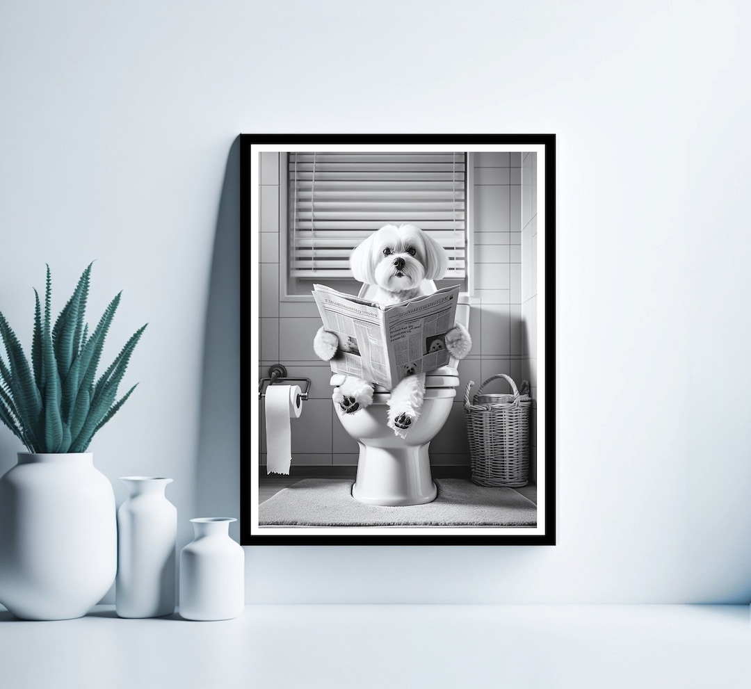 Maltese Wall Art, Funny Bathroom Print, Toilet Poster, Maltese in