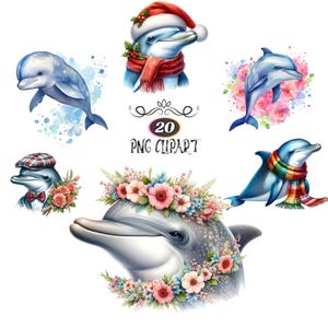 Watercolor Dolphin Clipart, 20 Clipart Bundle, Card Making, Dolphin PNG, Animal Sublimation, Dolphin Illustration, High Quality PNG